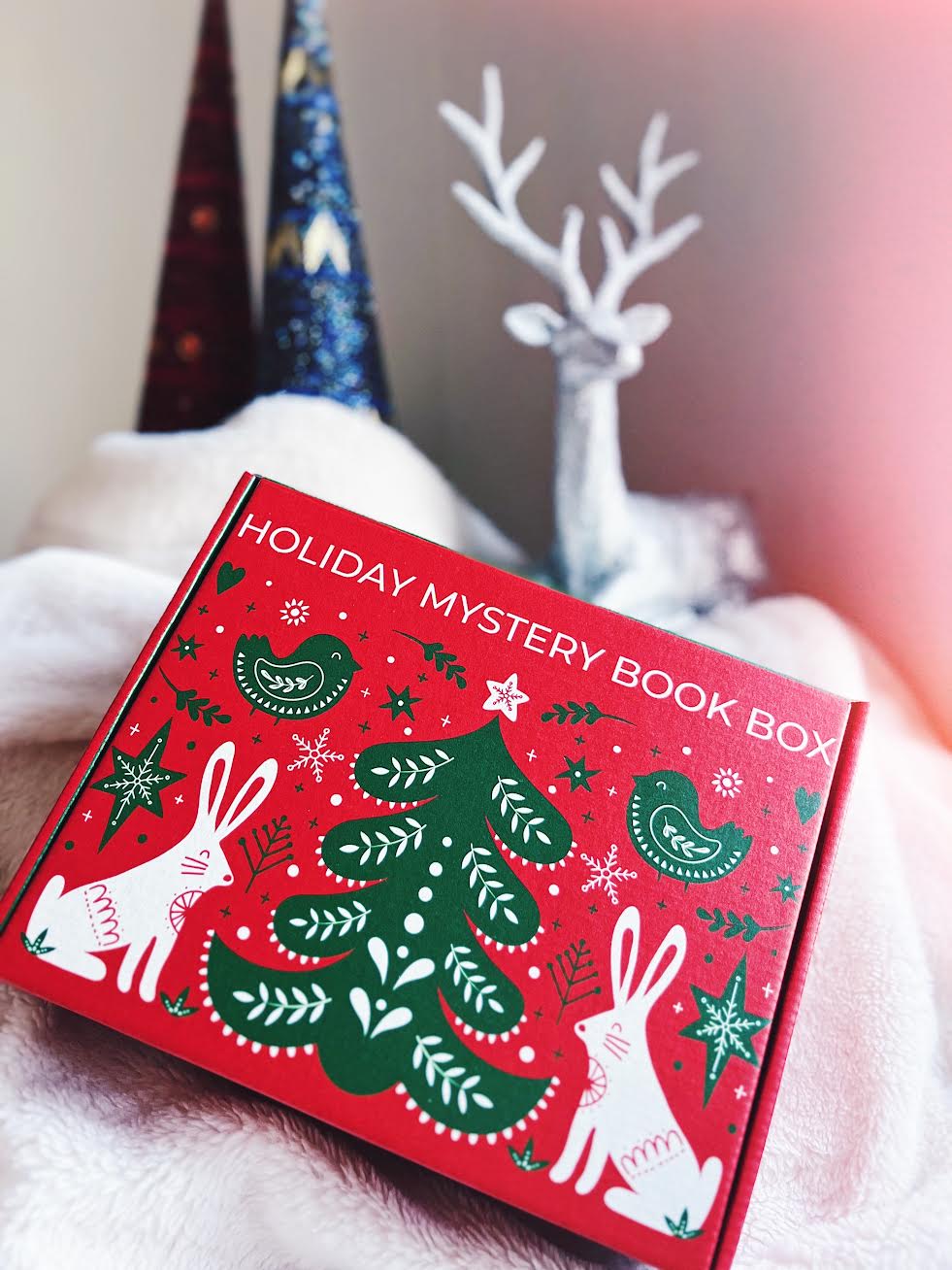 Holiday Mystery Book Box - The Grinch Stole My Grimoire