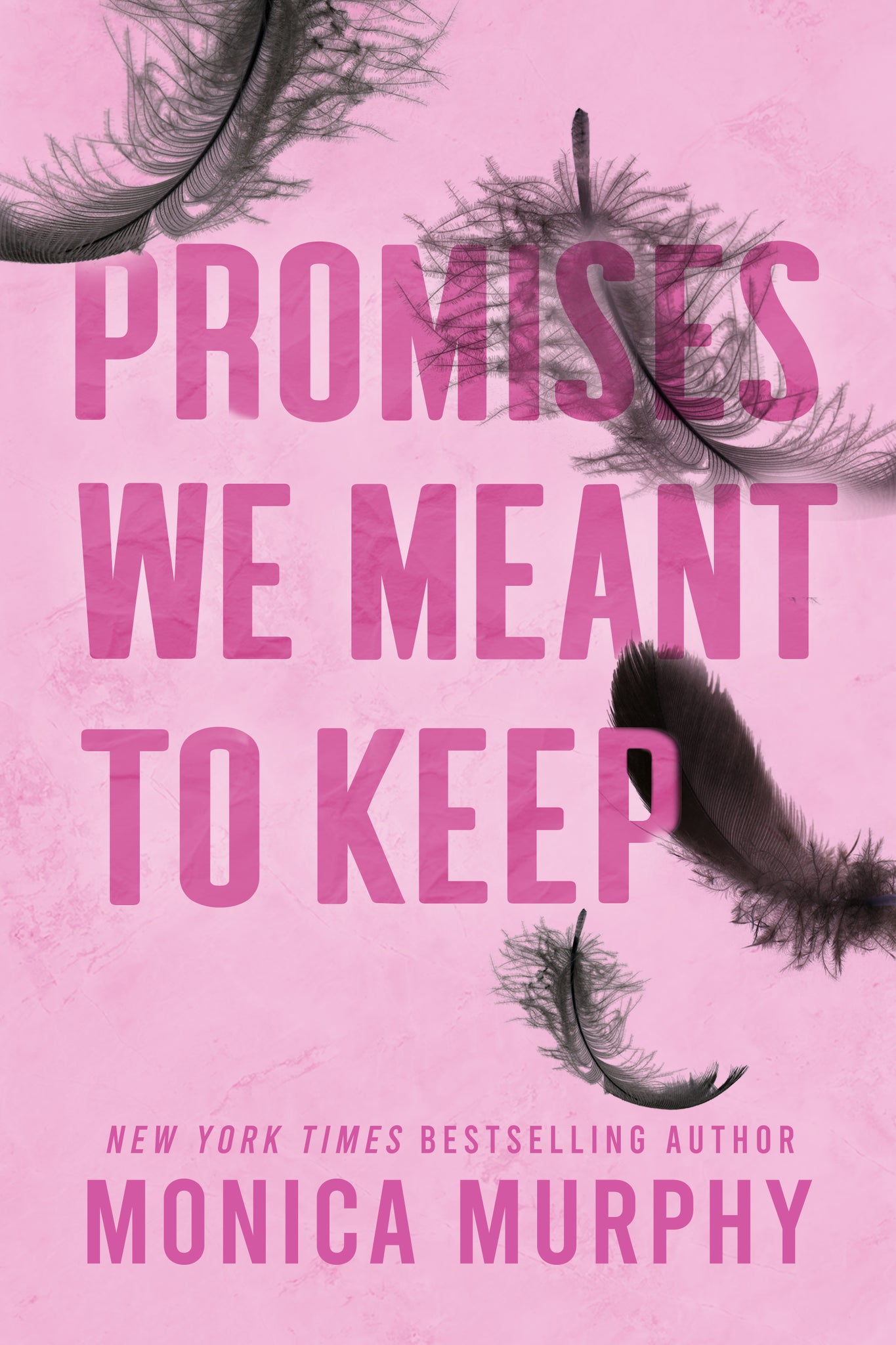 Promises We Meant to Keep - Monica Murphy (Pre-Loved)