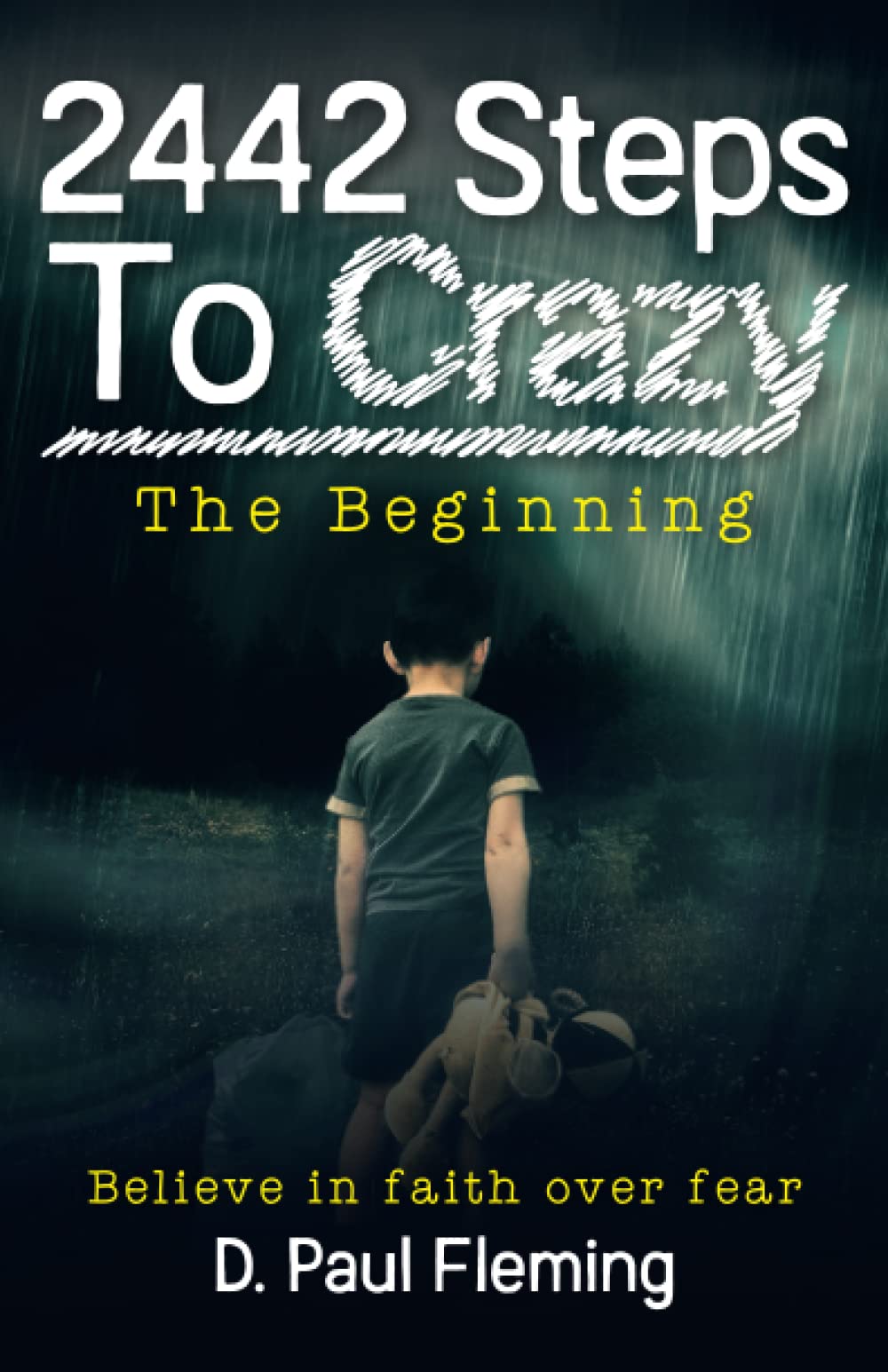 2442 Steps To Crazy - The Beginning - D. Paul Fleming (Pre-Loved)