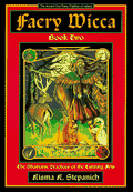 Faery Wicca: Book 2 : The Shamanic Practices of the Cunning Arts - Kisma K. Stepanich (Pre-Loved)