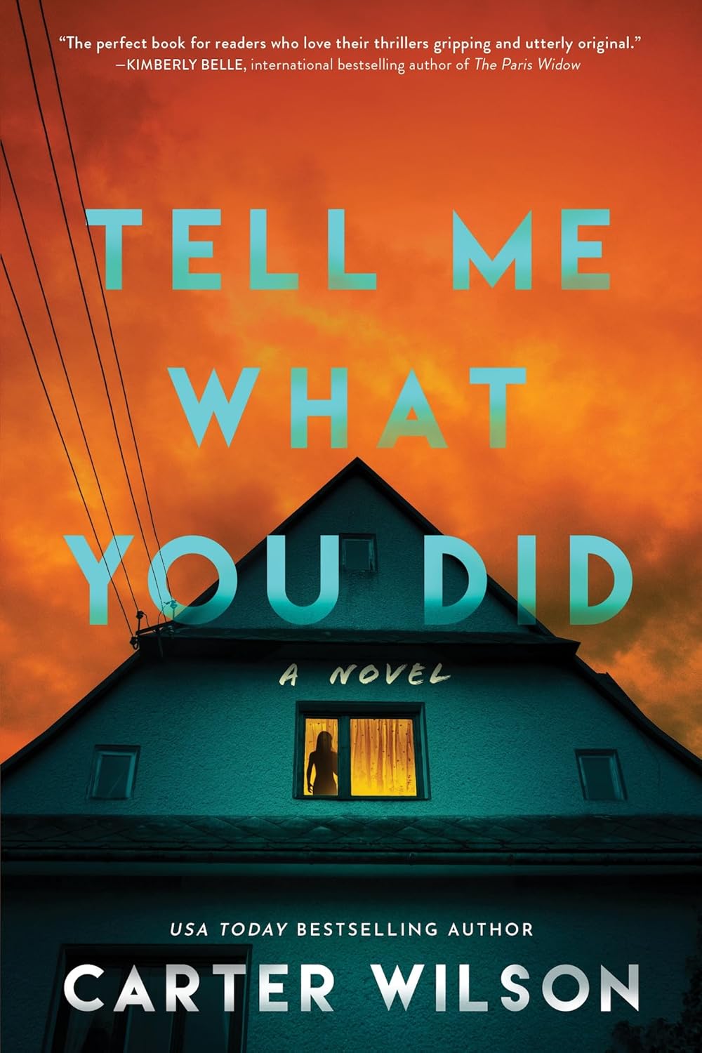 Tell Me What You Did: A Novel - Carter Wilson