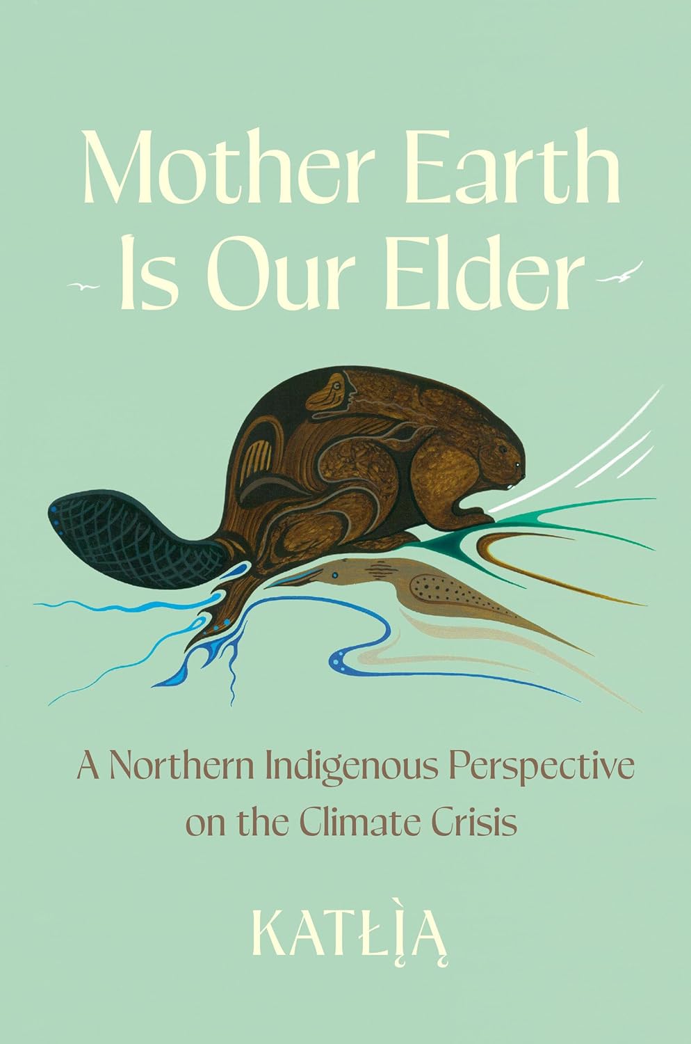 Mother Earth Is Our Elder: A Northern Indigenous Perspective on the Cl ...