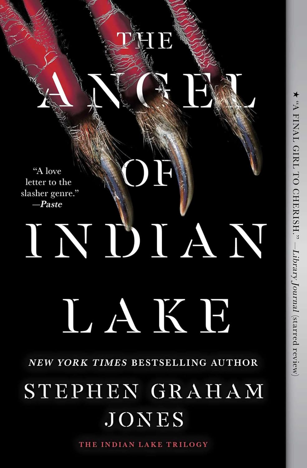 The Angel of Indian Lake - Stephen Graham Jones