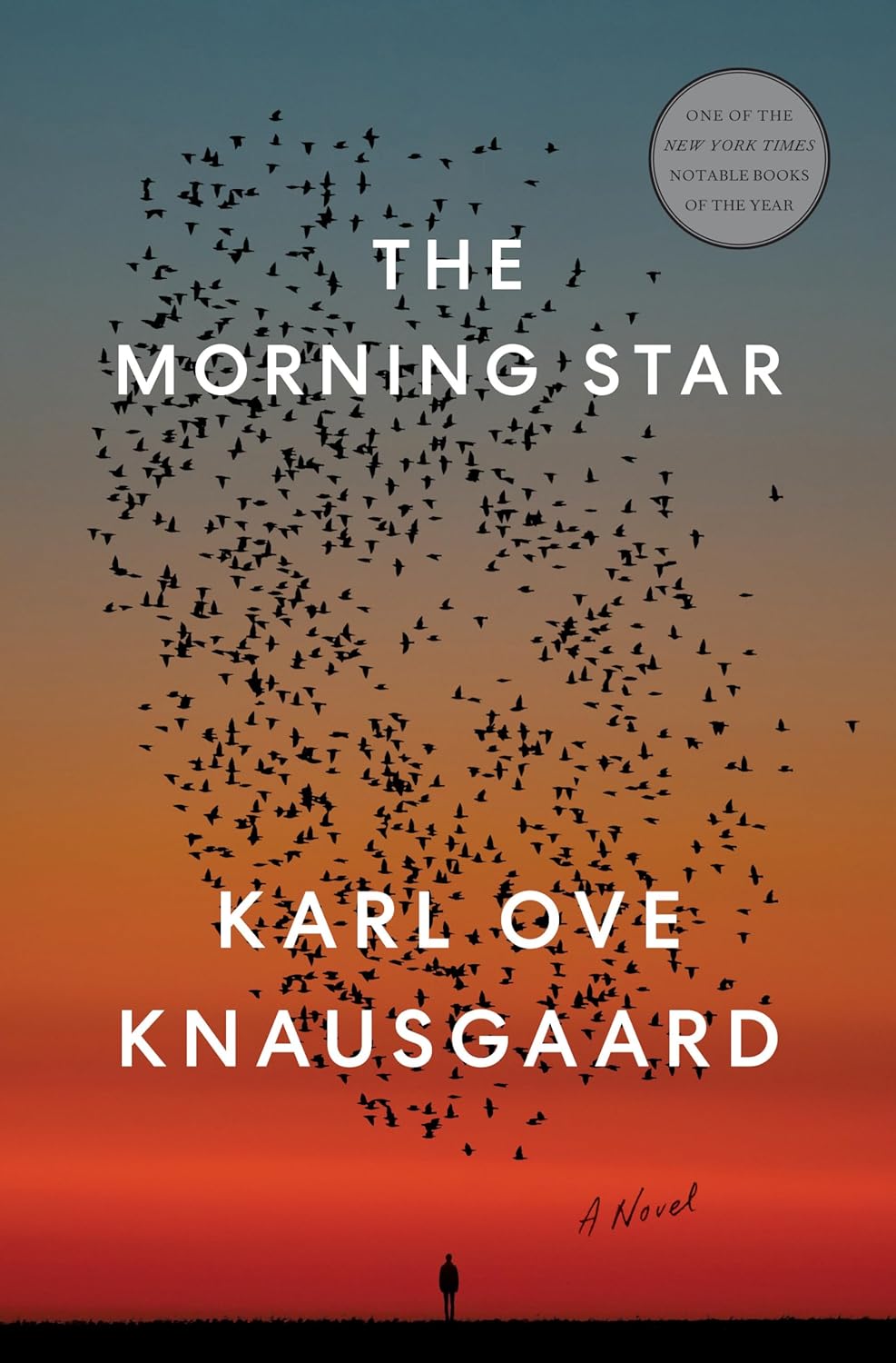 The Morning Star - Karl Ove Knausgaard (Bargain)