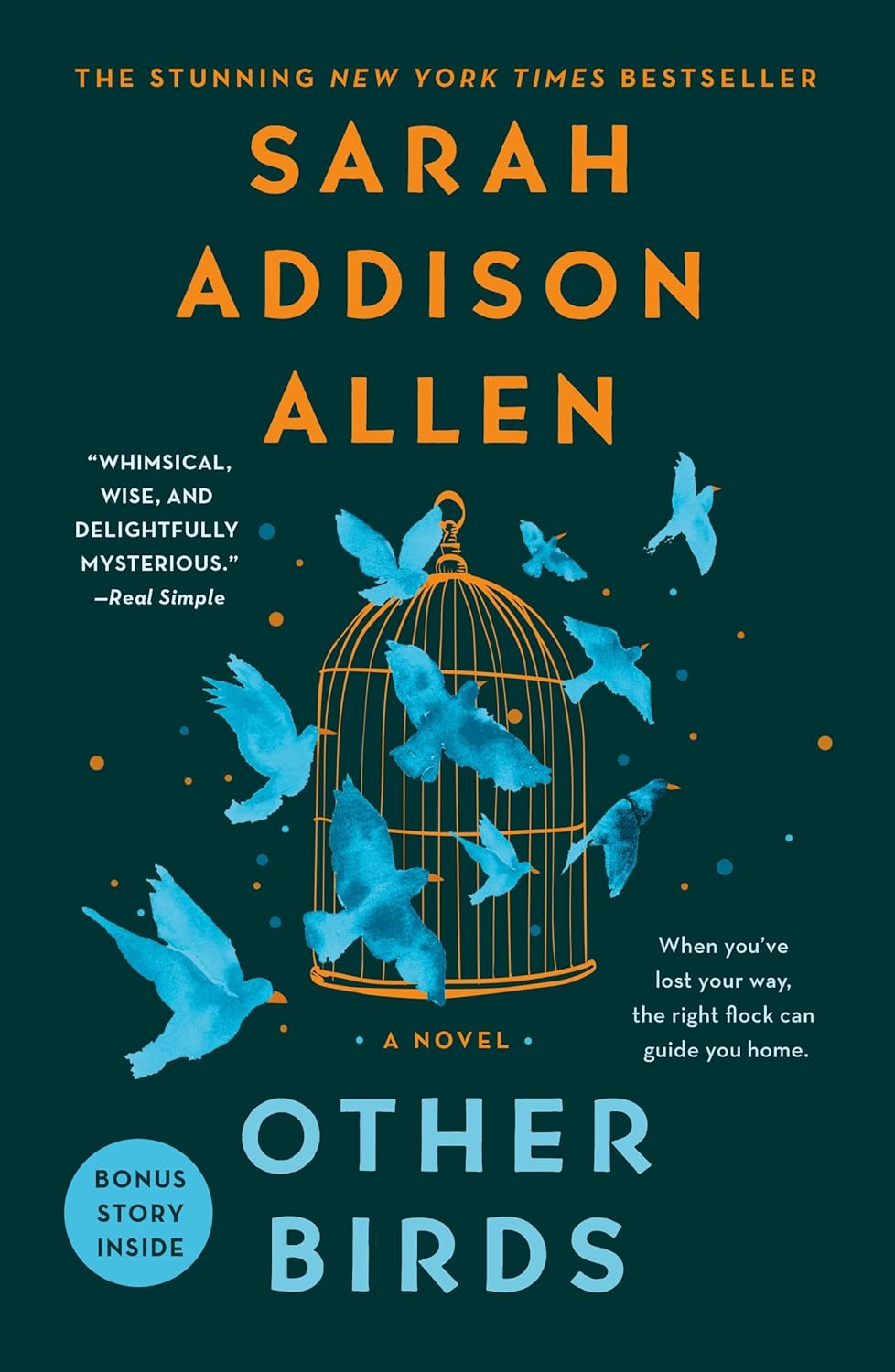 Other Birds: A Novel - Sarah Addison Allen (Pre-Loved)