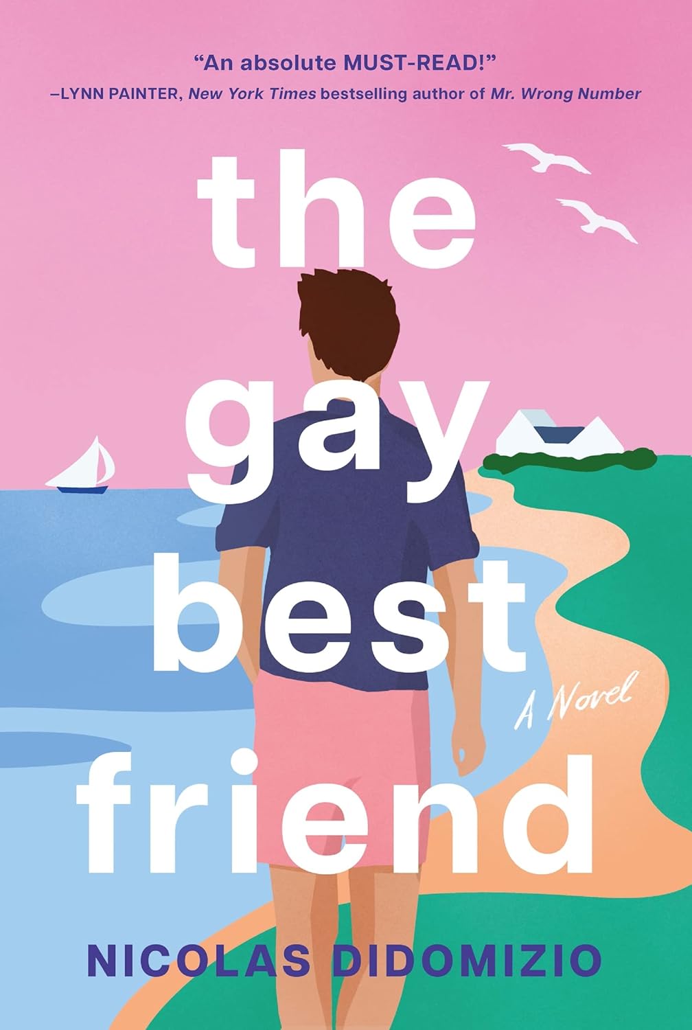 The Gay Best Friend: A Novel - Nicolas DiDomizio (Pre-Loved)