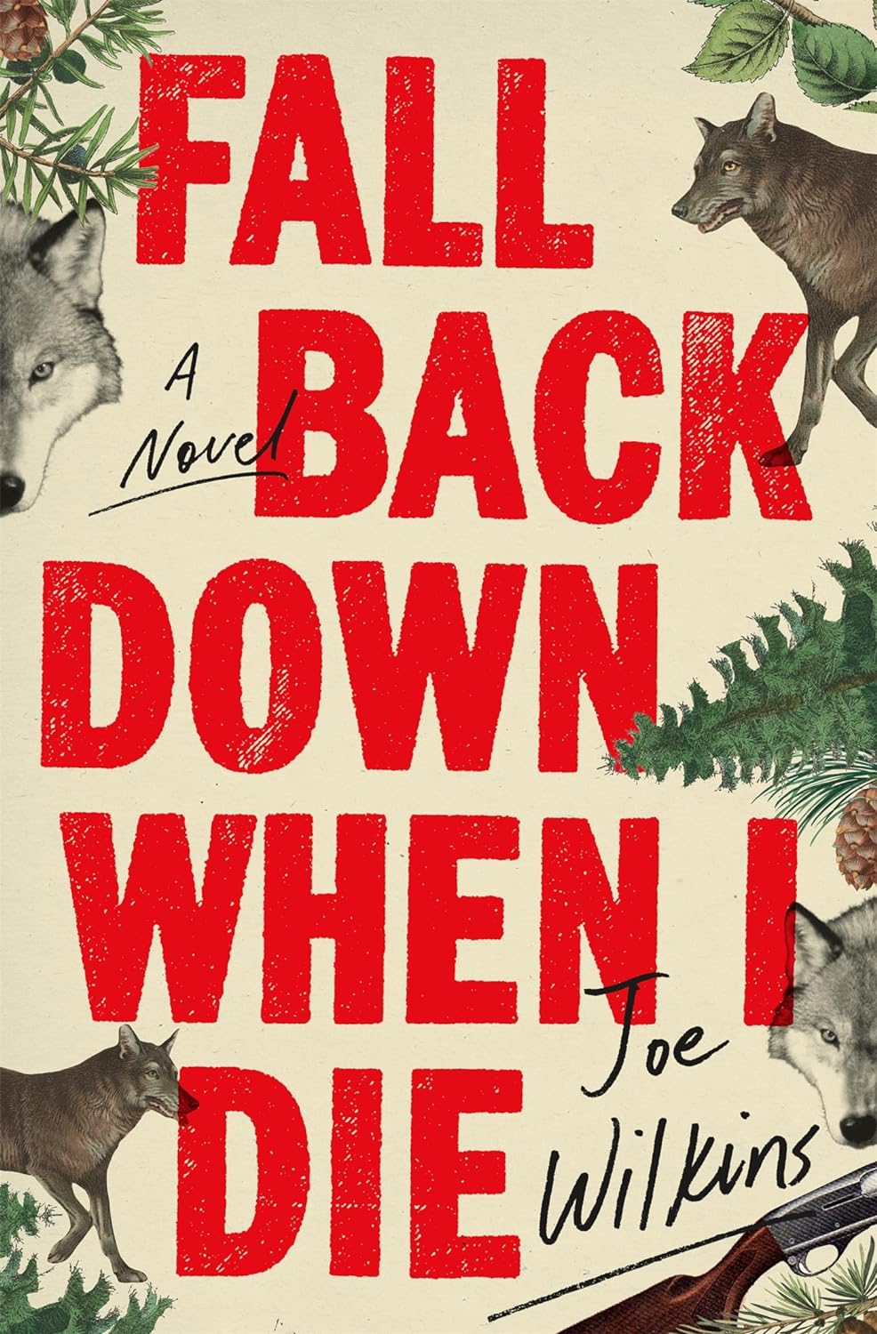 Fall Back Down When I Die - Joe Wilkins (Bargain)