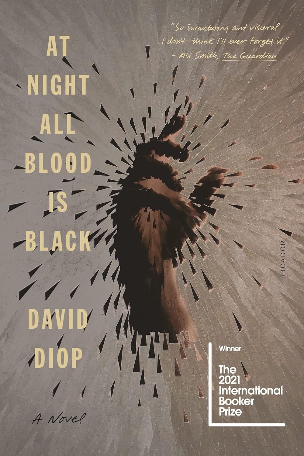 At Night All Blood Is Black: A Novel - David Diop