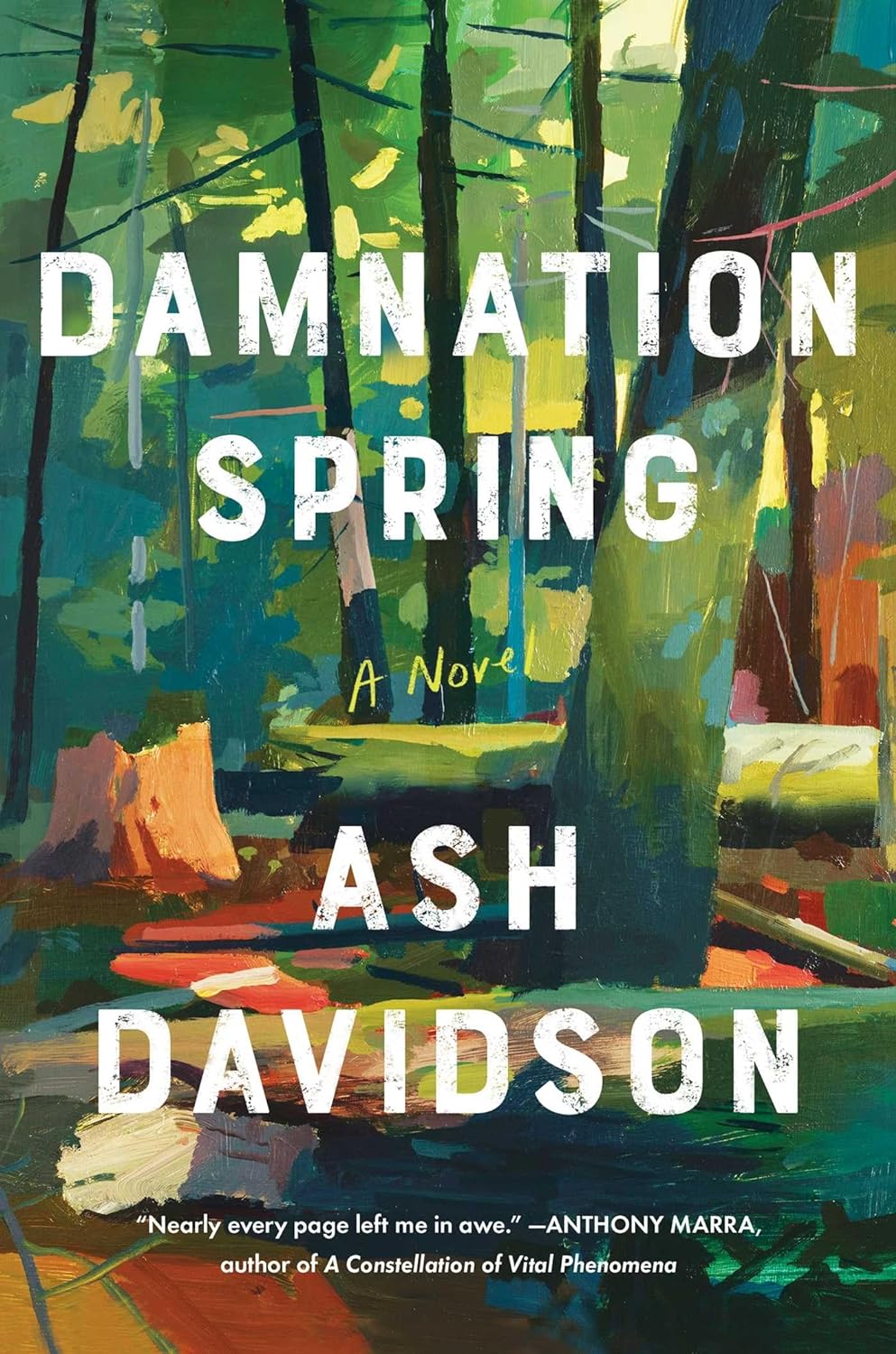 Damnation Spring - Ash Davidson (Bargain)