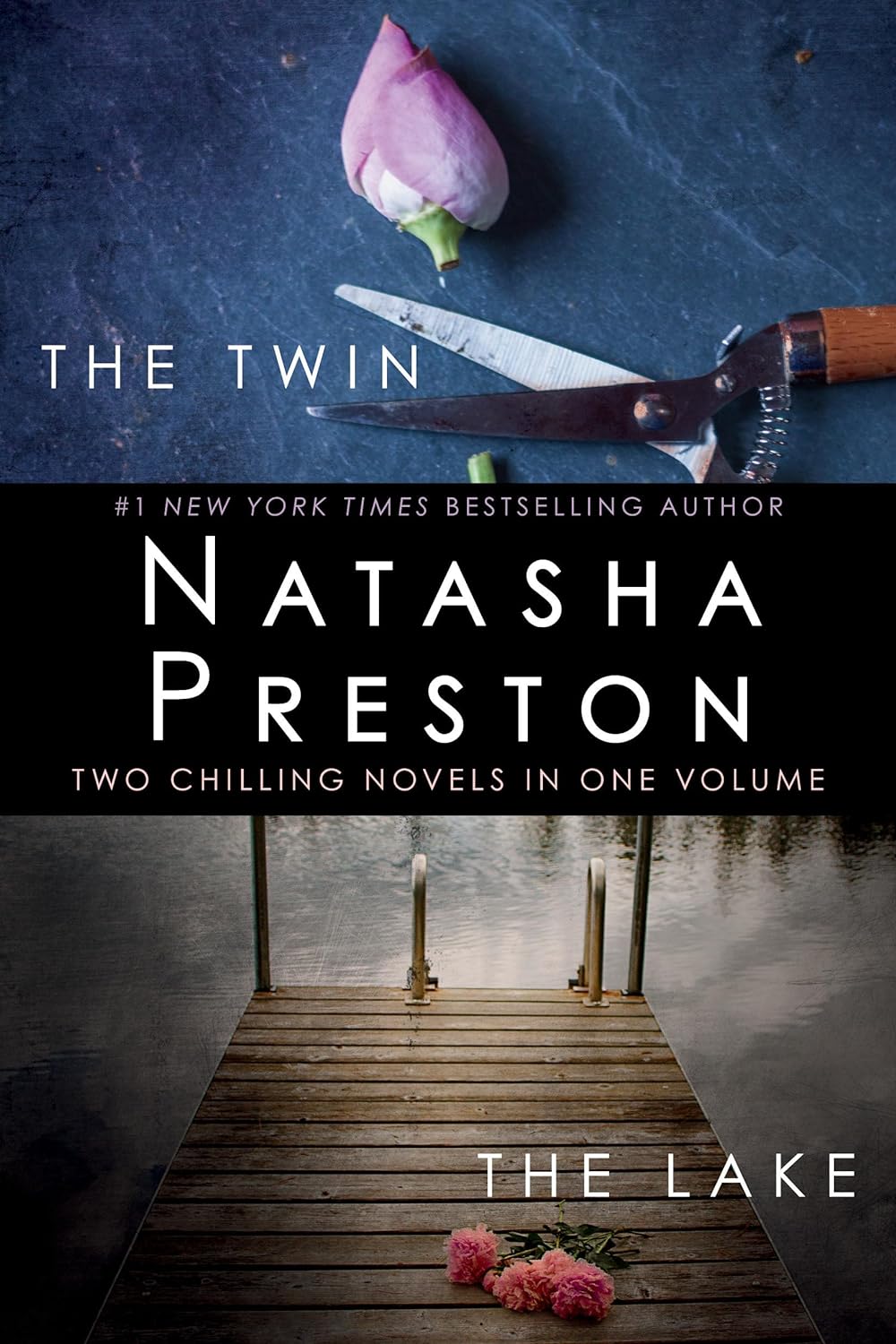 The Twin and The Lake: Two Chilling Novels in One Volume - Natasha Preston (Pre-Loved)