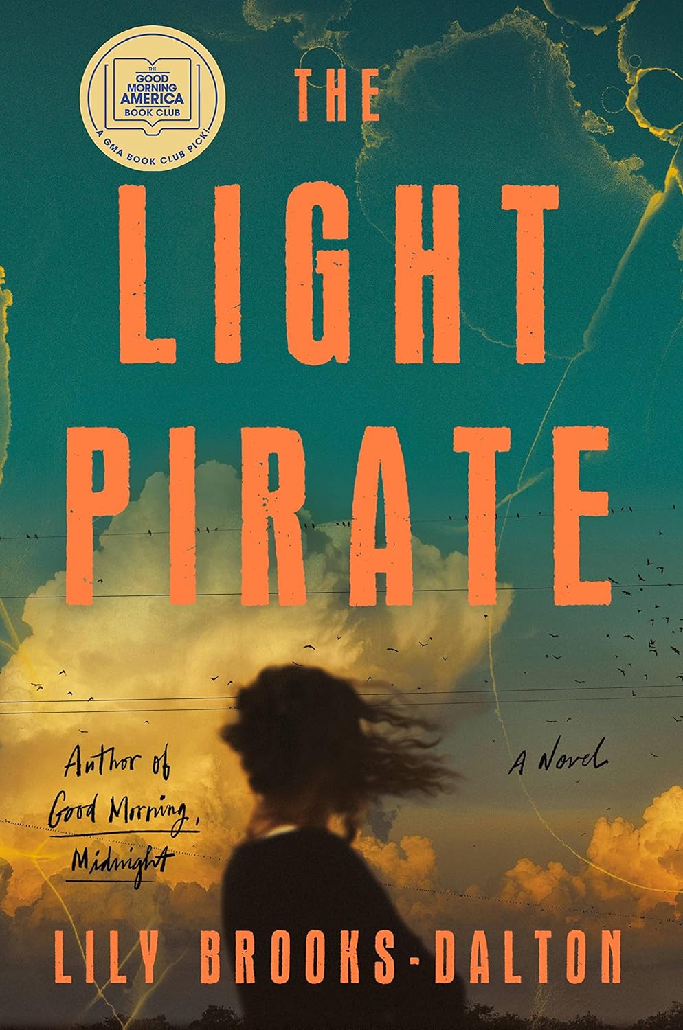 The Light Pirate - Lily Brooks-Dalton (Bargain)