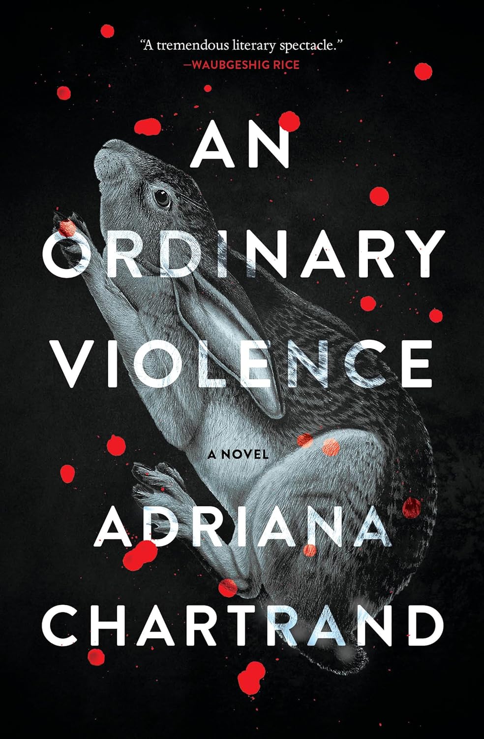 An Ordinary Violence: A Novel - Adriana Chartrand