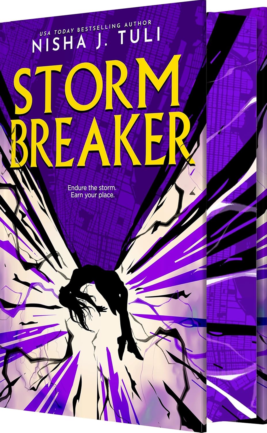 Storm Breaker - Nisha J. Tuli