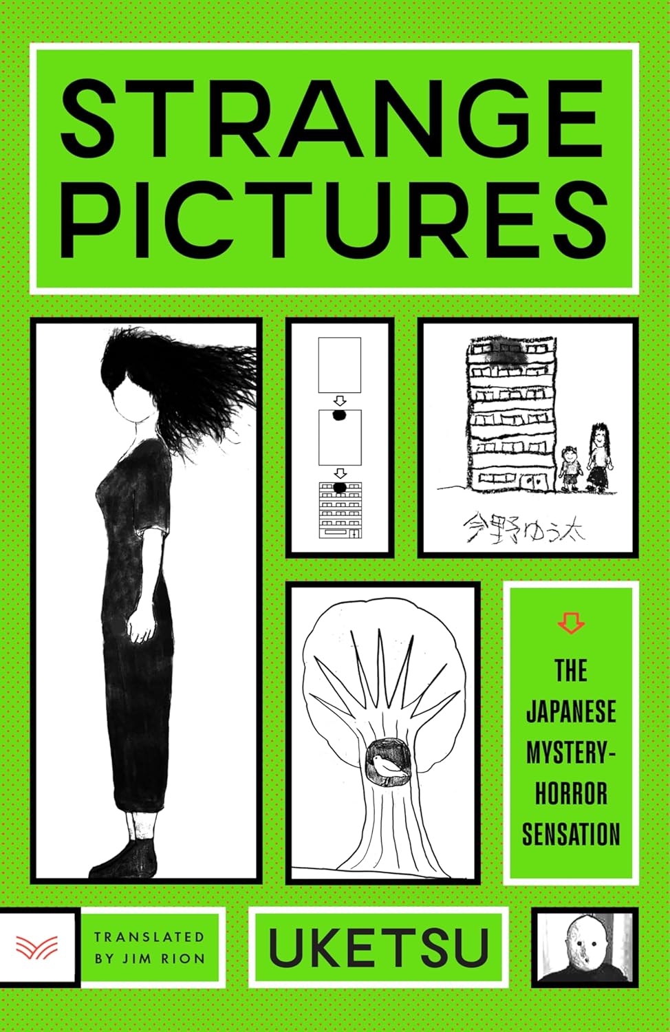 Strange Pictures: A Novel - Uketsu