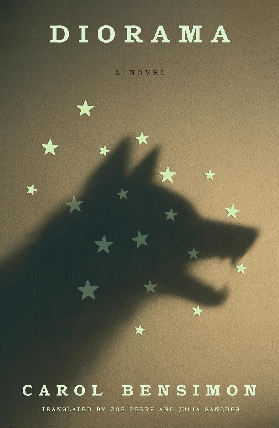 Diorama: A Novel - Carol Bensimon