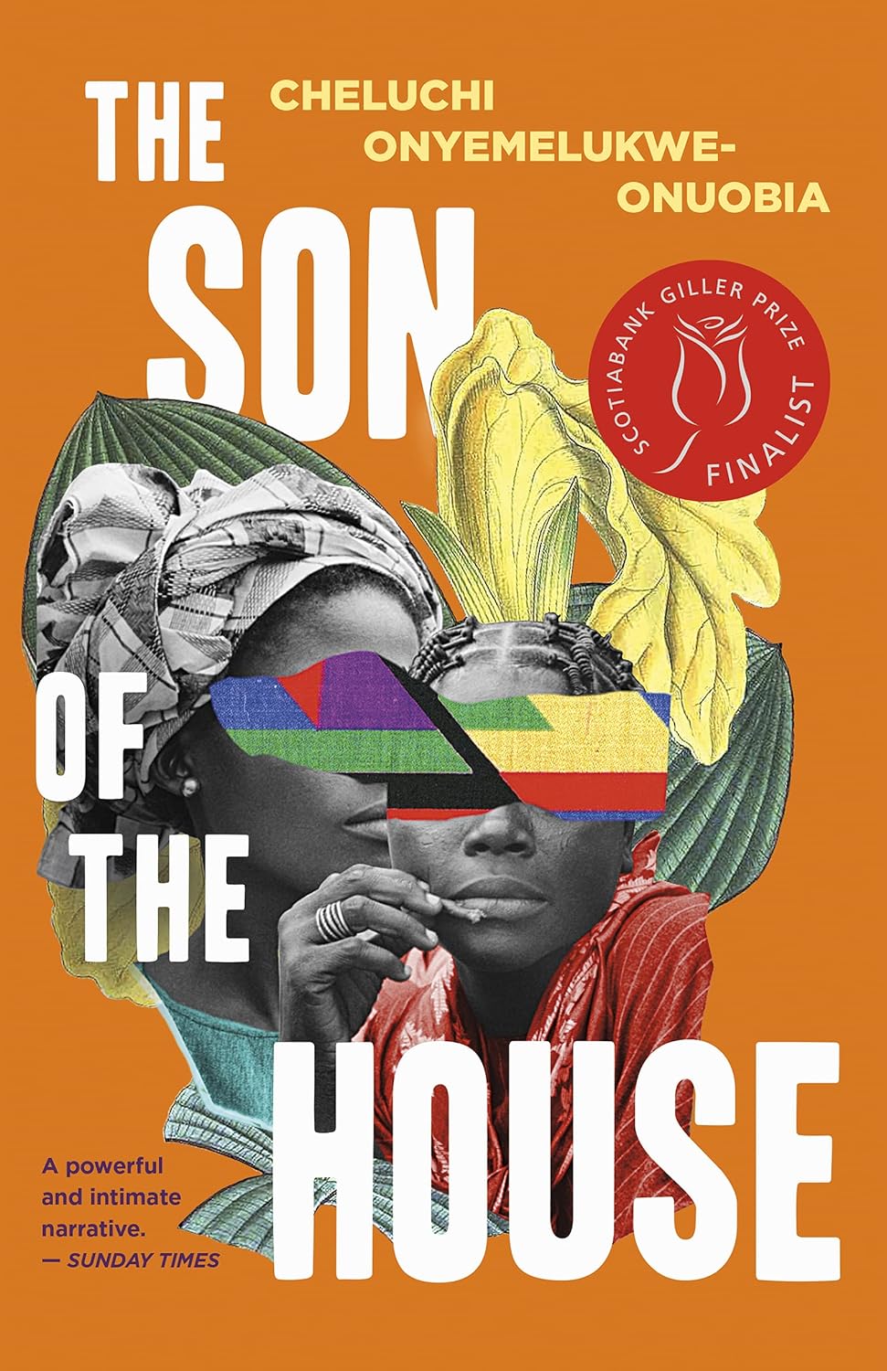 The Son of the House - Cheluchi Onyemelukwe-Onuobia