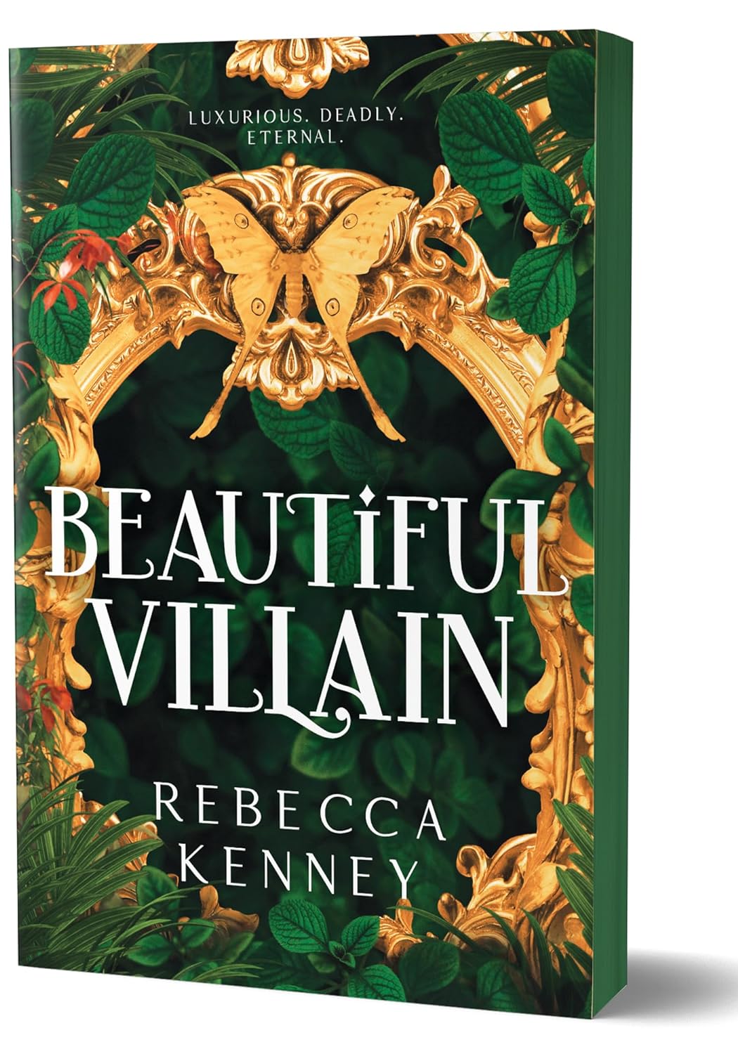 Beautiful Villain - Rebecca Kenney (Pre-Loved)