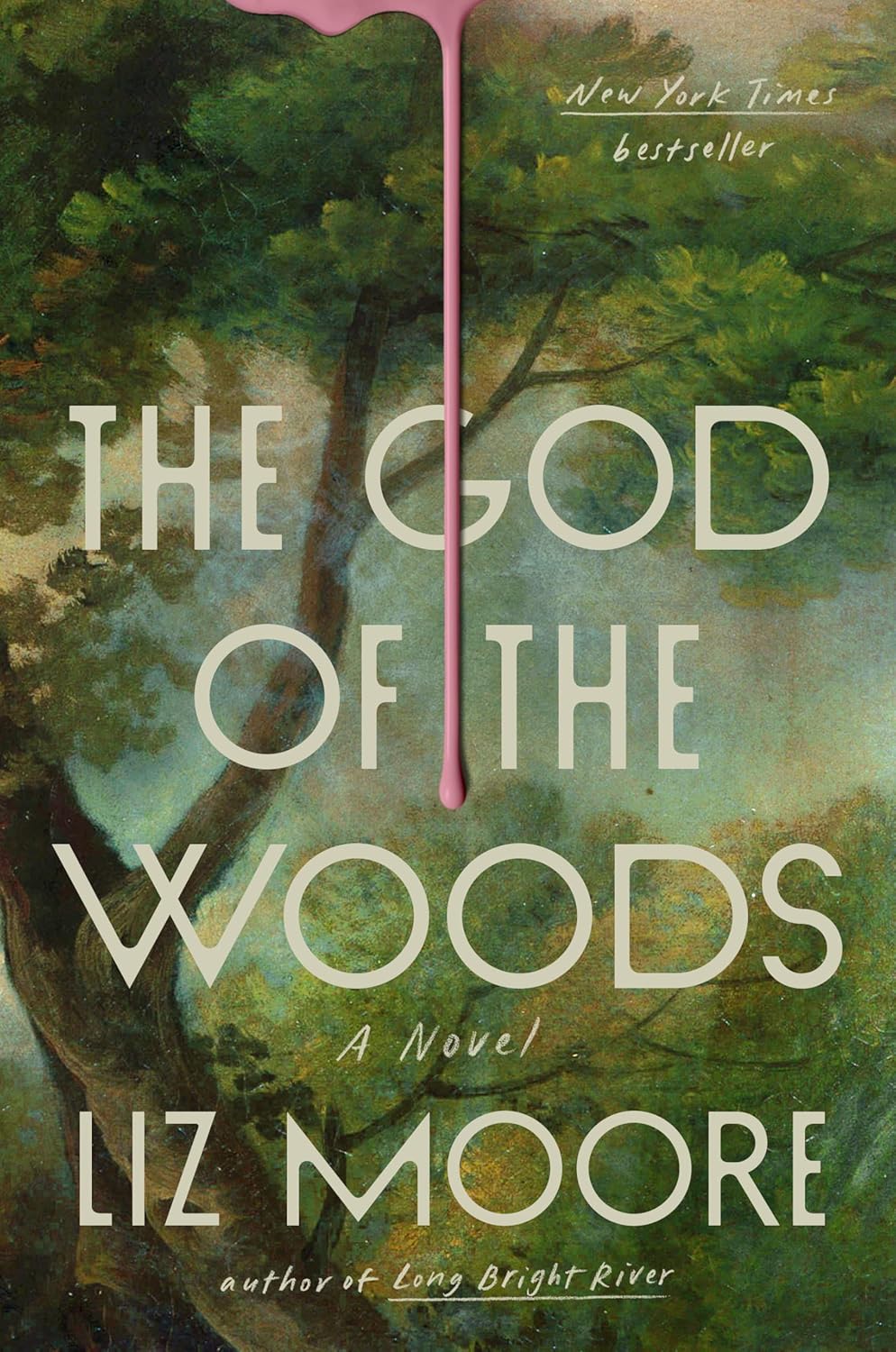 The Gods of the Woods: A Novel - Liz Moore