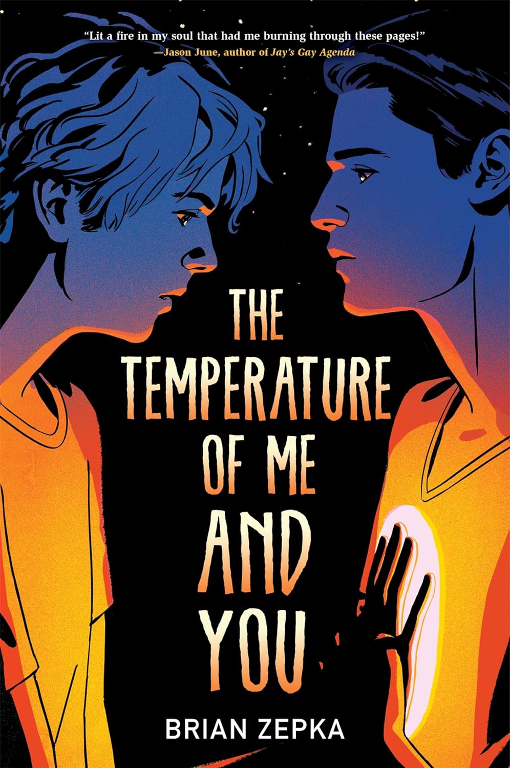 The Temperature of Me and You - Brian Zepka (Pre-Loved)