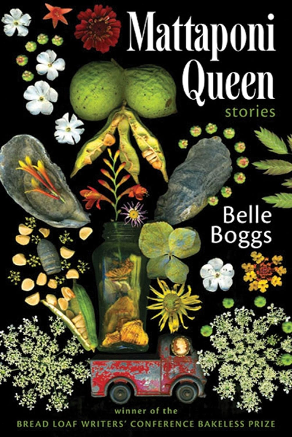 Mattaponi Queen: Stories - Belle Boggs (Bargain)