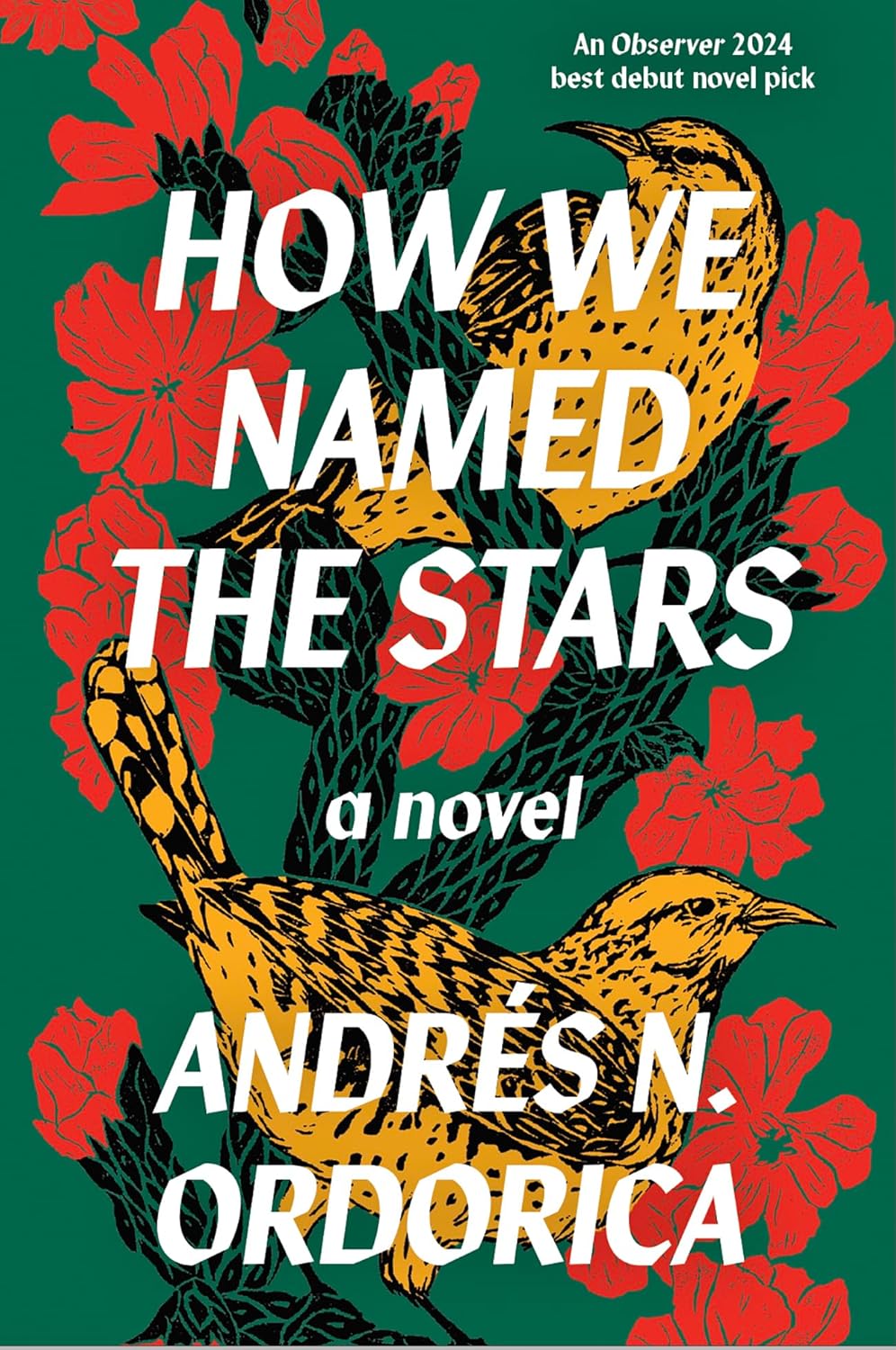 How We Named the Stars - Andrés N. Ordorica