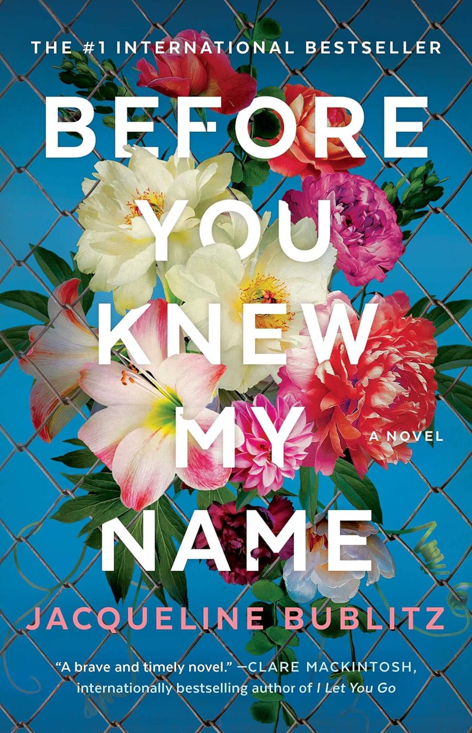 Before You Knew My Name: A Novel - Jacqueline Bublitz (Bargain)