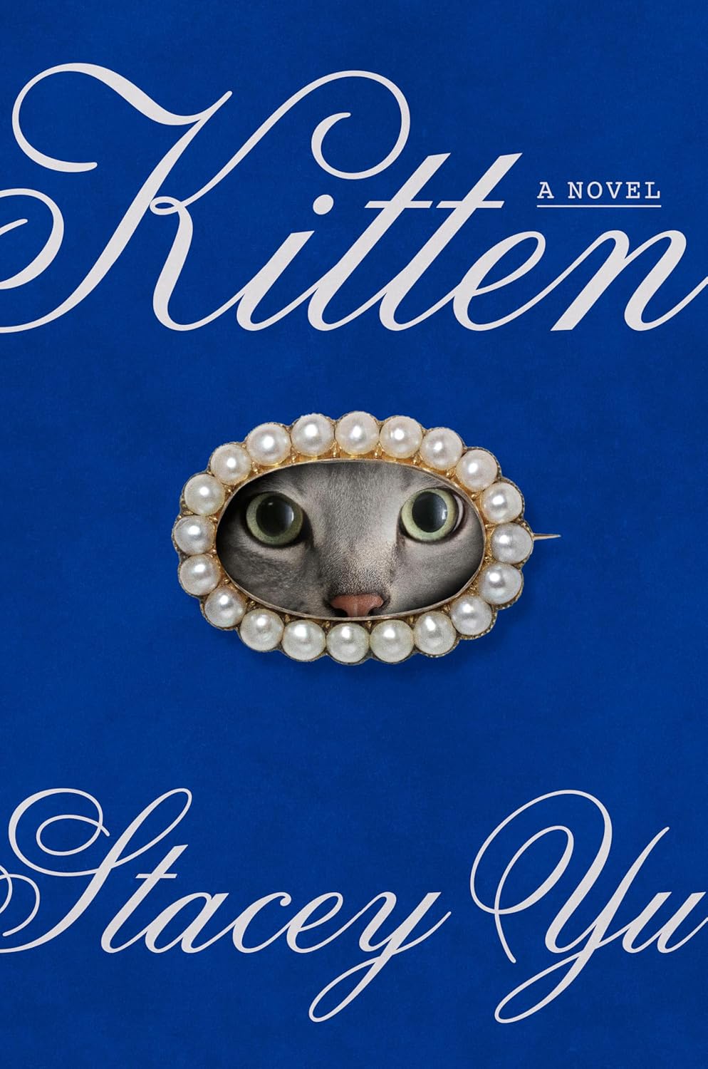 Kitten: A Novel - Stacey Yu