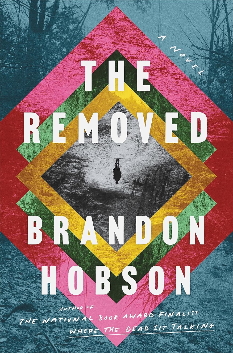 The Removed: A Novel - Brandon Hobson (Bargain)