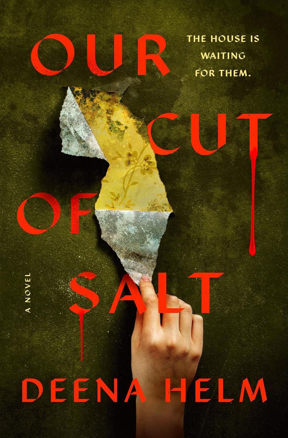 Our Cut of Salt - Deena Helm