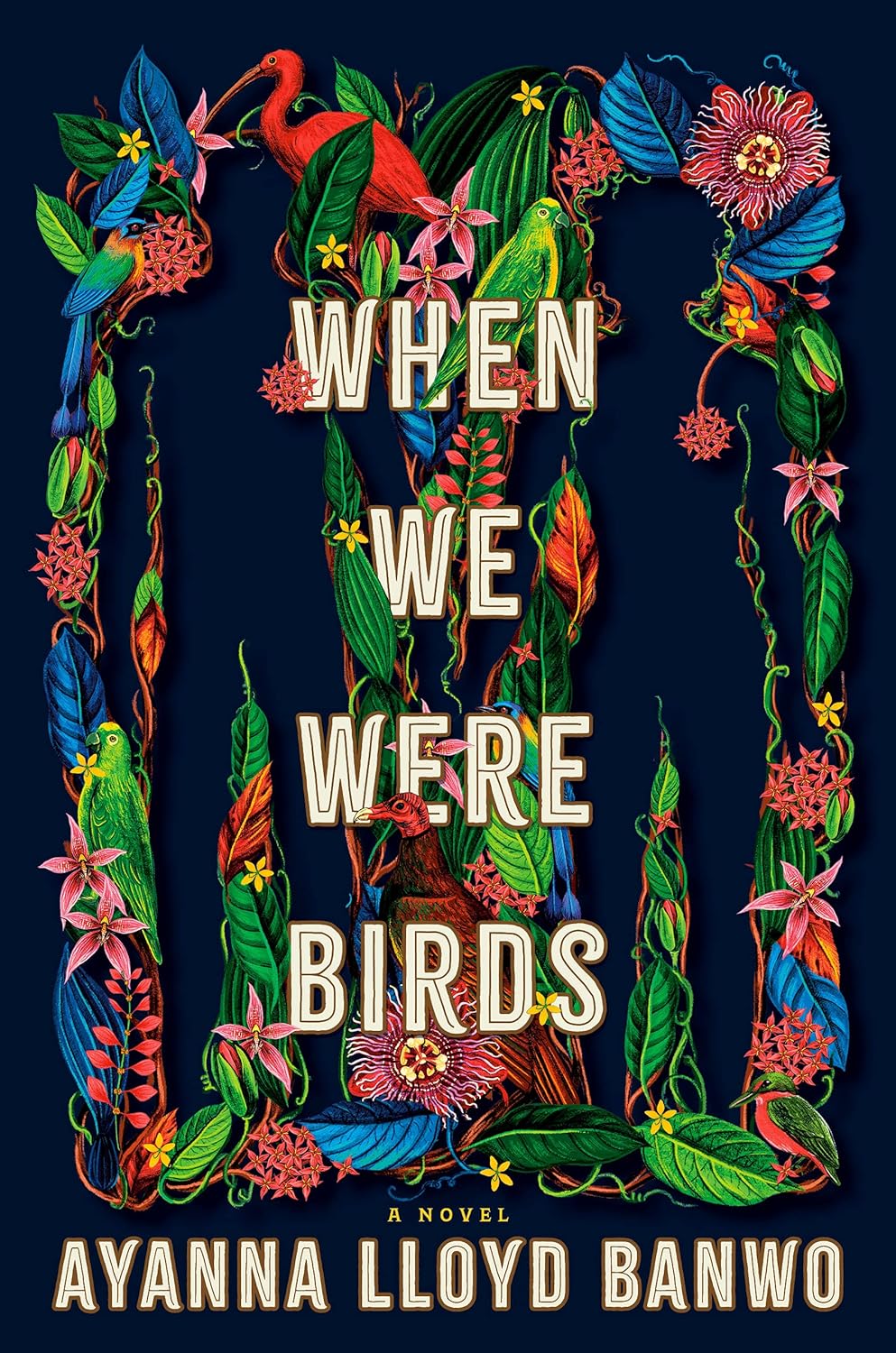 When We Were Birds - Ayanna Lloyd Banwo (Bargain)