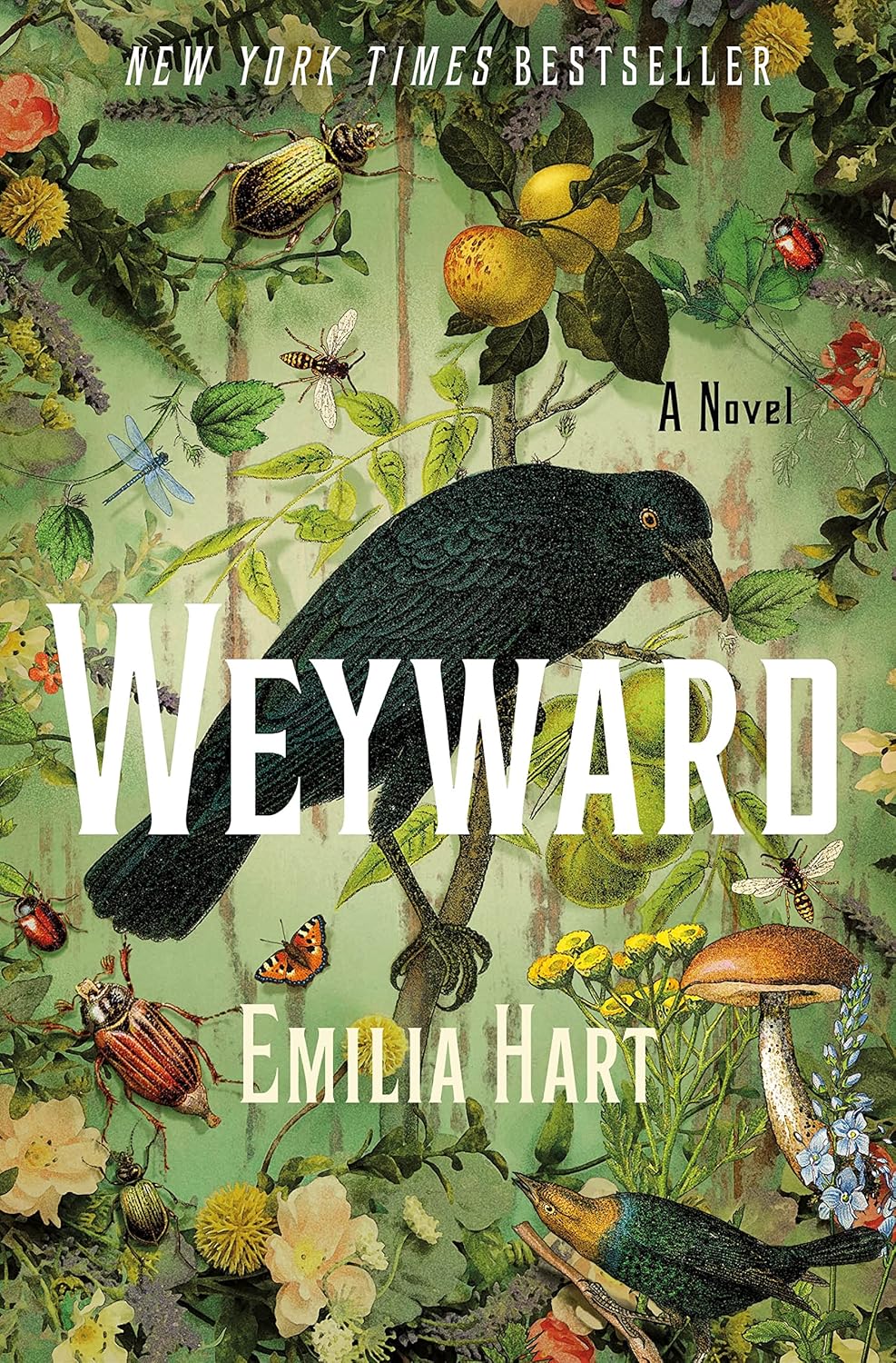 Weyward: A Novel - Emilia Hart