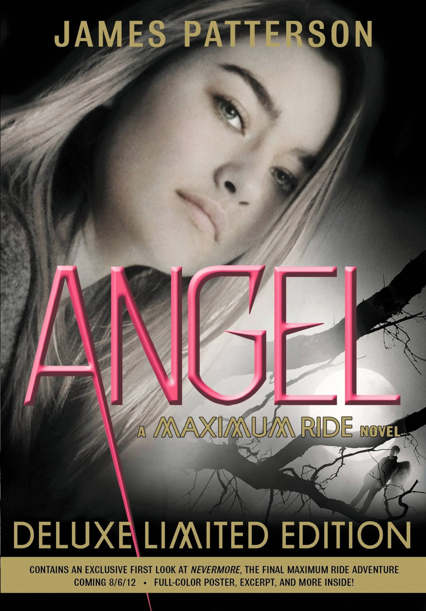 Angel: A Maximum Ride Novel - James Patterson (Pre-Loved)