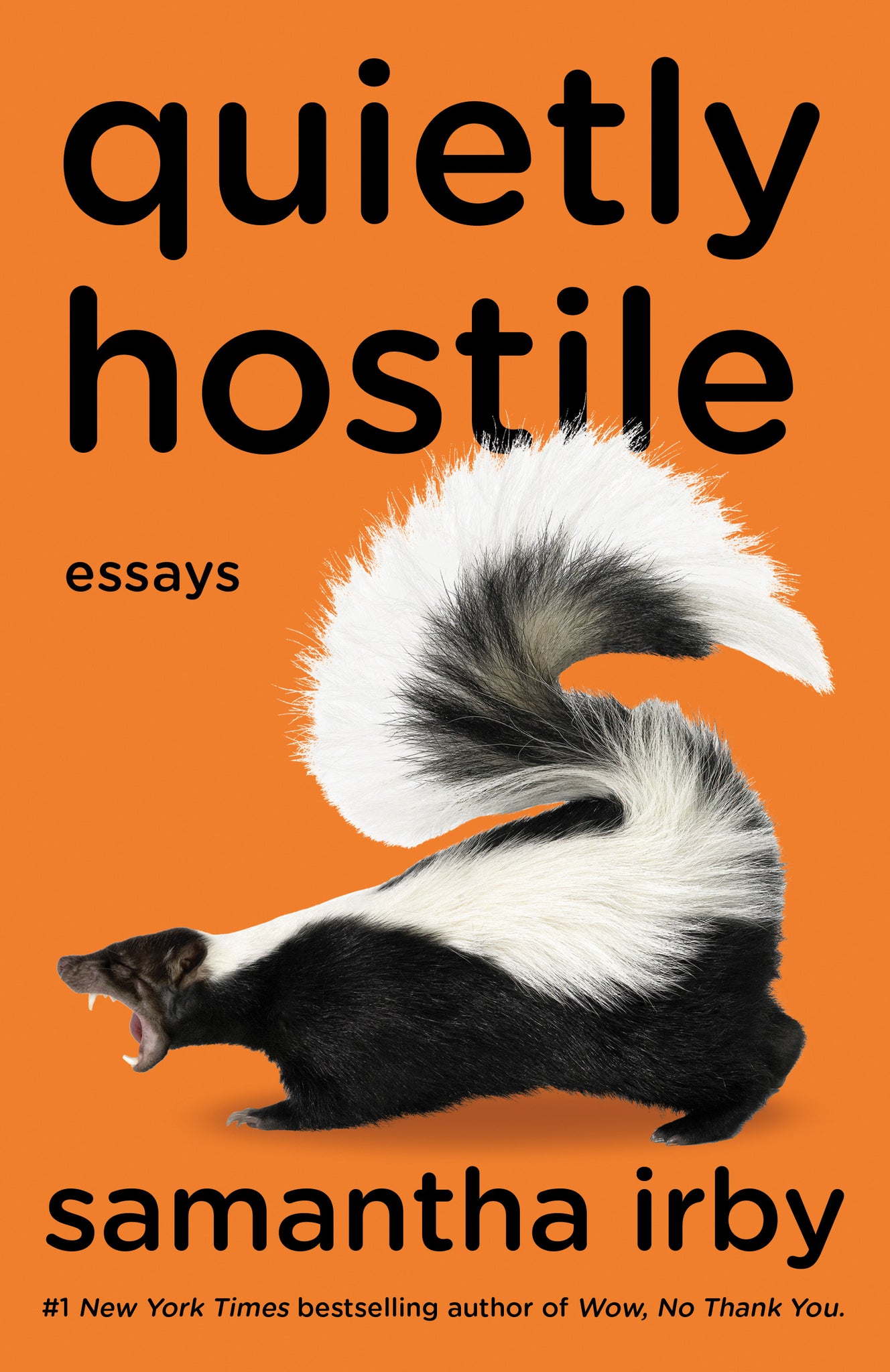 Quietly Hostile - Samantha Irby