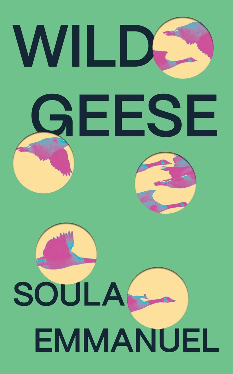 Wild Geese - Soula Emmanuel