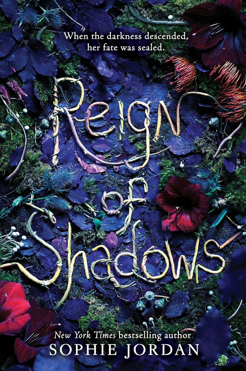 Reign of Shadows - Sophie Jordan (Pre-Loved)