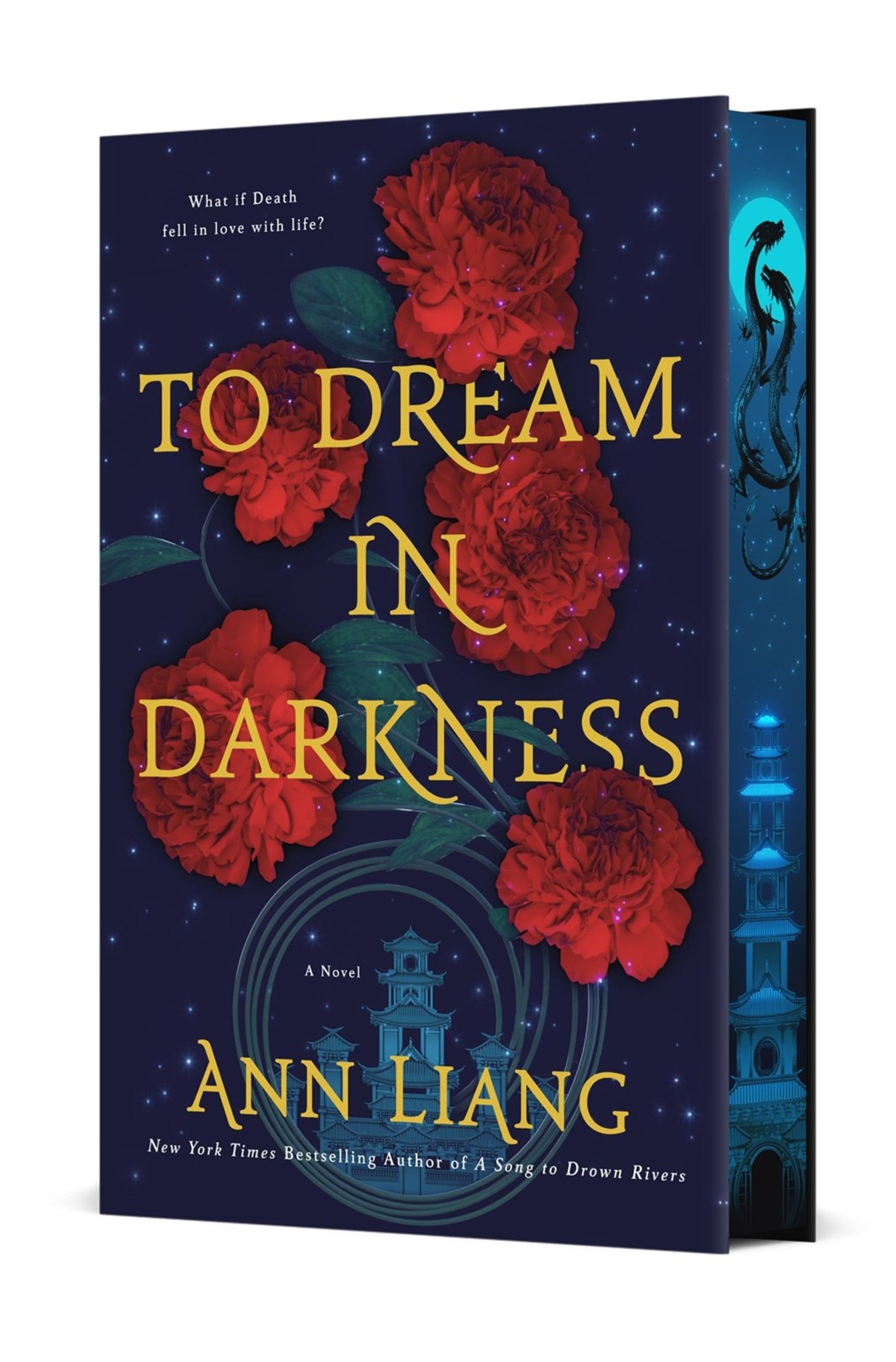 To Dream in Darkness