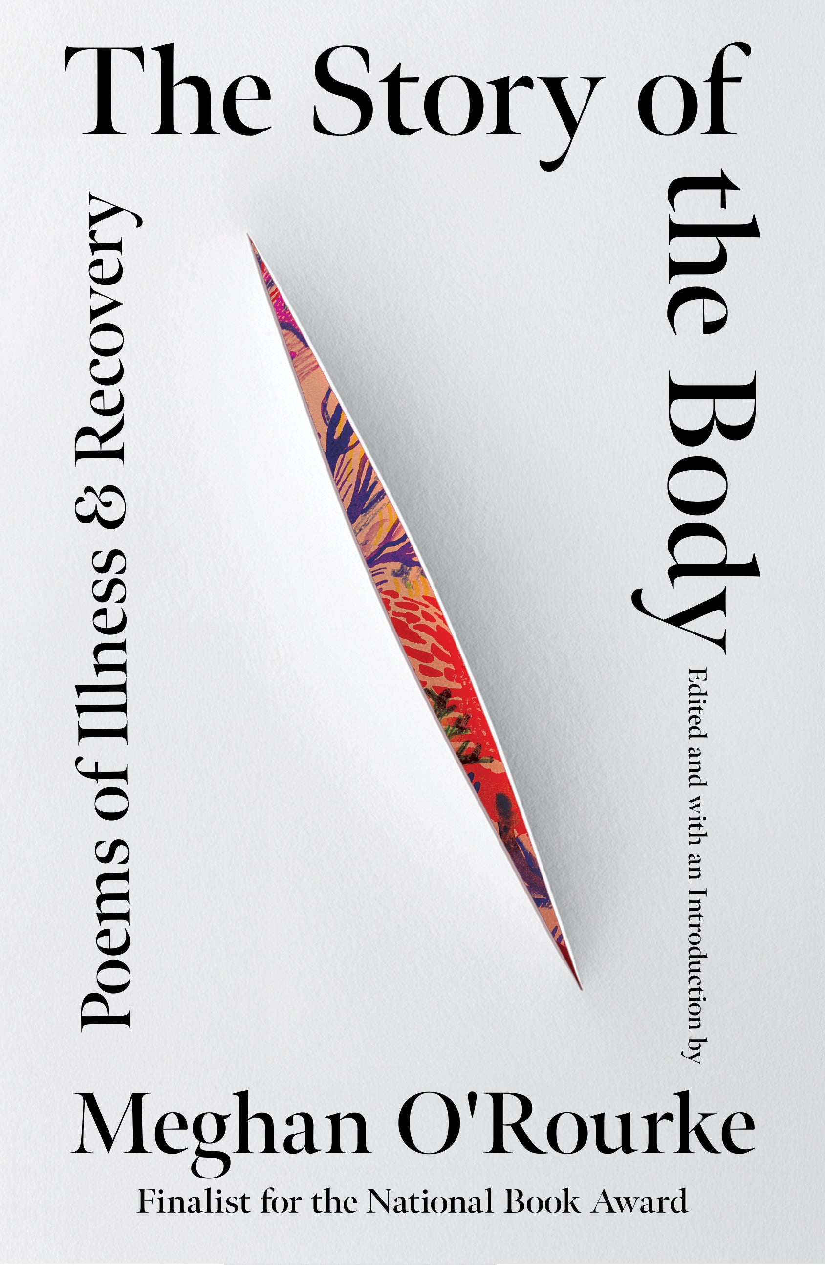 The Story of the Body