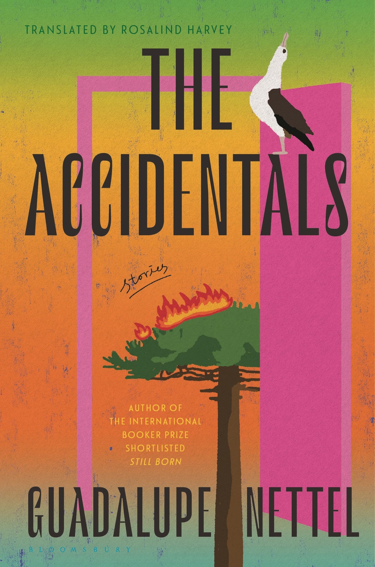 The Accidentals