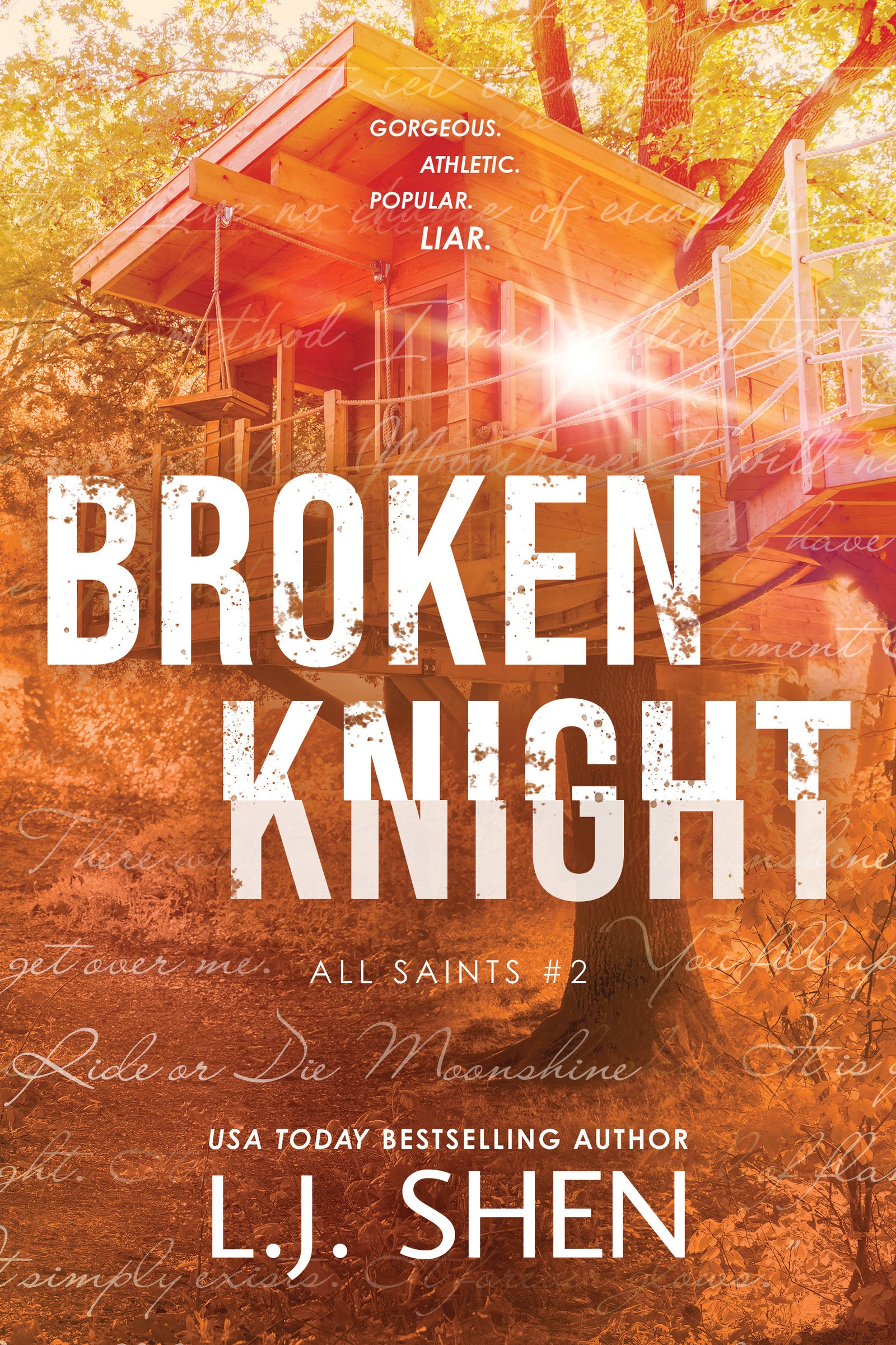 Broken Knight - L.J. Shen (Pre-Loved)