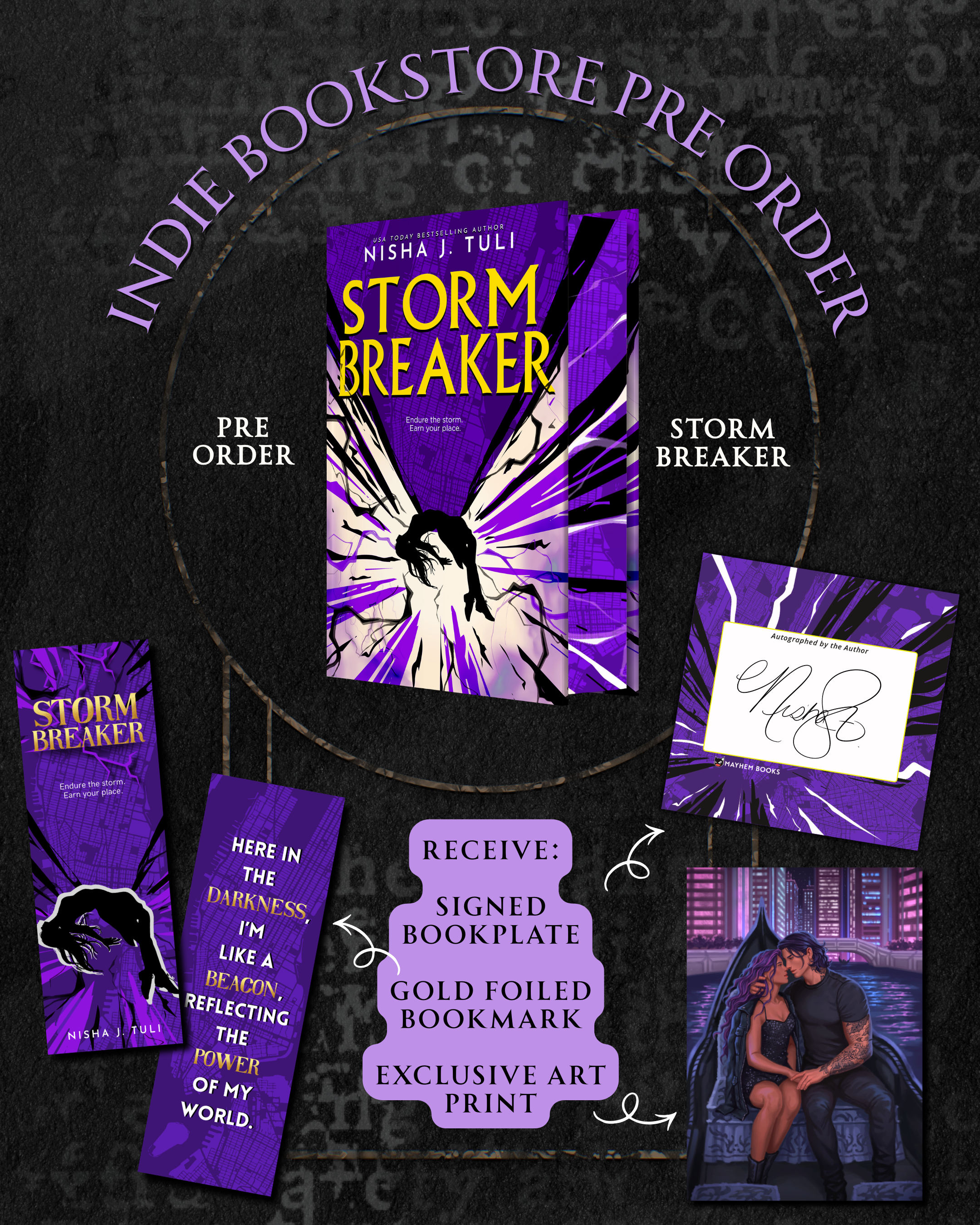 Storm Breaker - Nisha J. Tuli