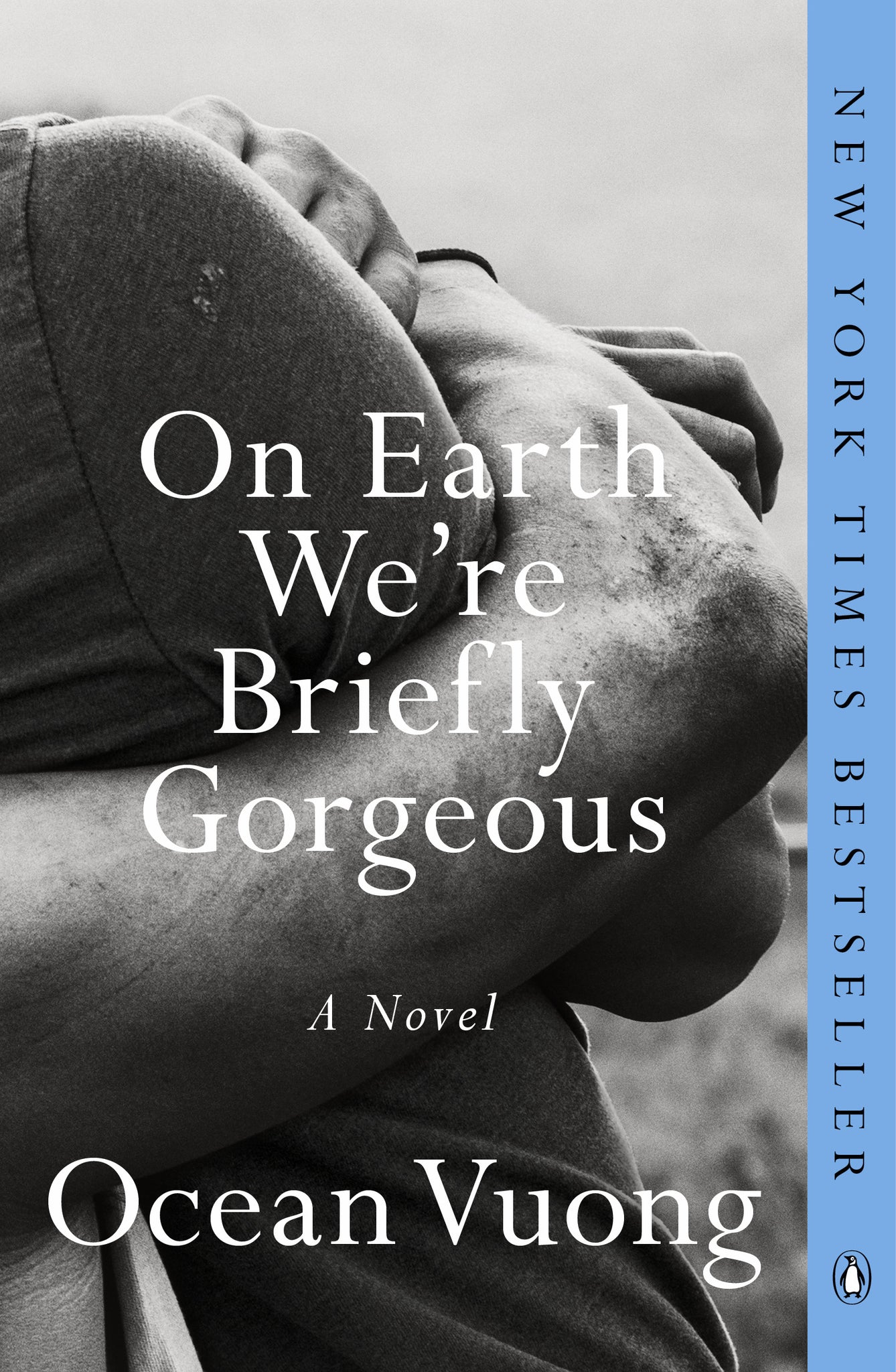 On Earth We're Briefly Gorgeous - Ocean Vuong