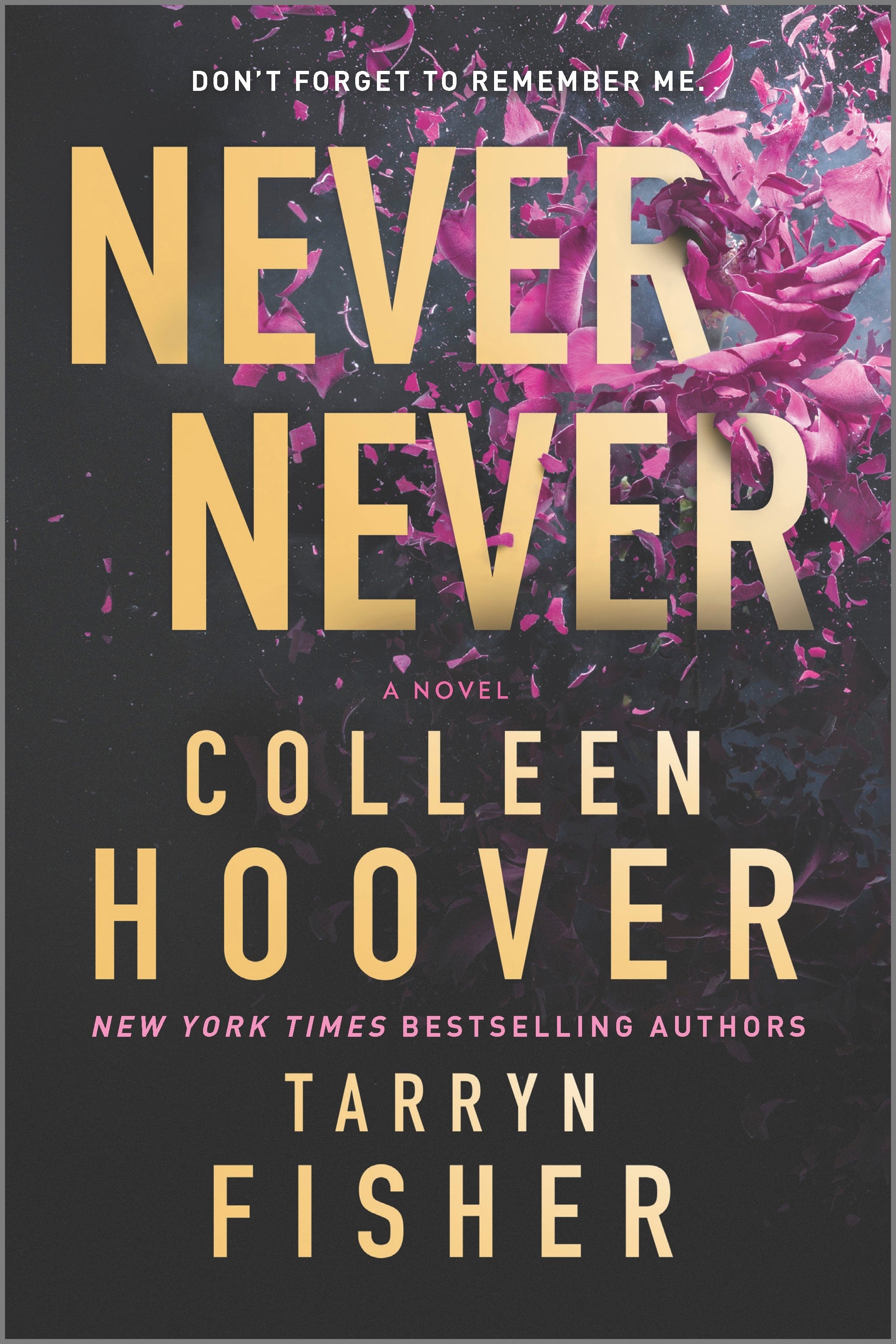 Never Never - Colleen Hoover & Tarryn Fisher (Bargain)